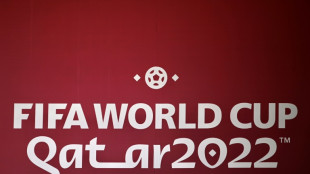 Katar sieht sich wegen Fu&szlig;ball-WM einer "beispiellosen Kampagne" ausgesetzt