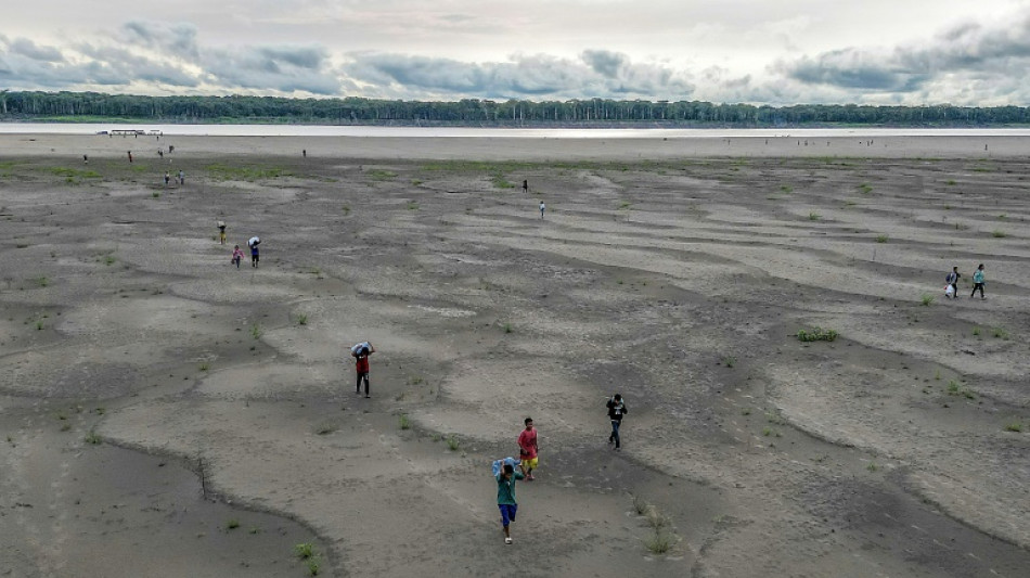 COP16: la conférence de l'ONU sur la désertification s'ouvre en Arabie saoudite
