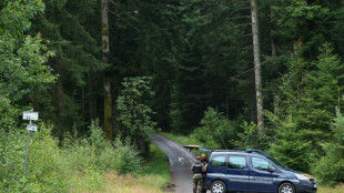 Les recherches pour retrouver Lina reprennent, en Haute-Saône