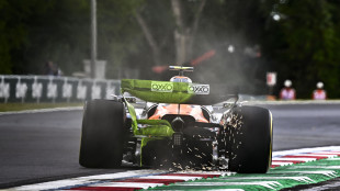 F1: Ungheria, Norris il più veloce anche nelle seconde libere