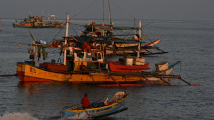 Philippines vows removal of Chinese barriers at disputed reef 
