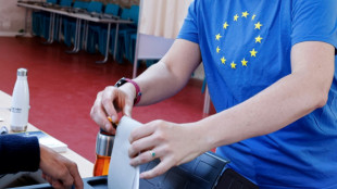 Europawahl: AfD und andere Rechtsau&szlig;en-Parteien schneiden stark ab