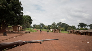 Entregado a la CPI el exjefe de un grupo armado antibalaka de Rep&uacute;blica Centroafricana  