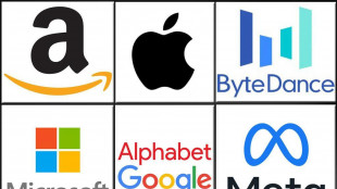 Il monito di Leone sulle big tech, il potere nelle mani di pochi