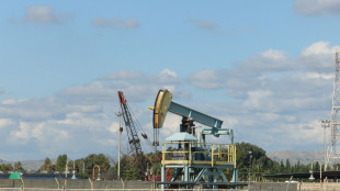 Petrolio in rialzo, Wti a 56,03 dollari (+0,76%)