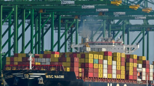 Empresa china moviliz&oacute; 39% de los contenedores en puertos paname&ntilde;os en 2024