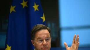 L'Europe ne peut pas se d&eacute;fendre sans les Etats-Unis, affirme le chef de l'Otan