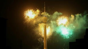 Ir&aacute;n libera bajo fianza a una l&iacute;der reformista