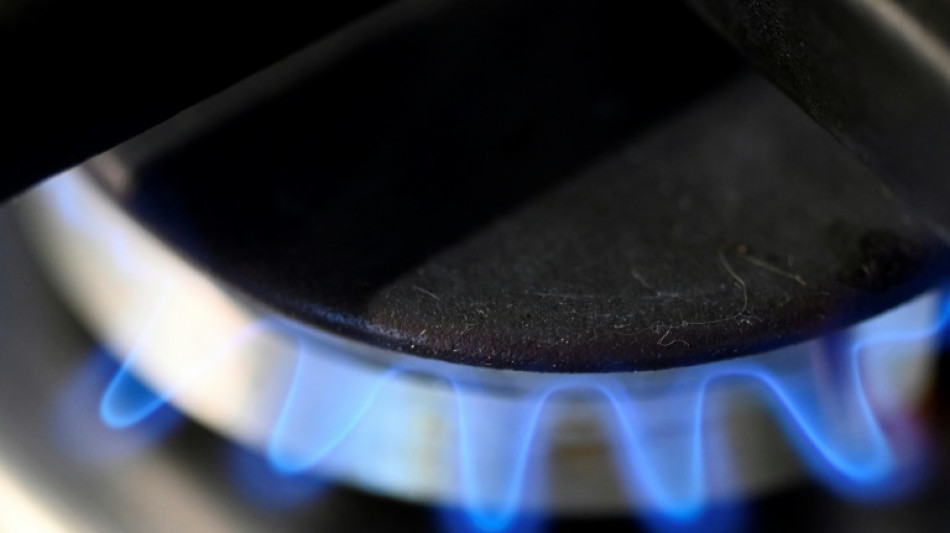 Gaz russe: faute d'embargo, l'UE veut r&eacute;duire de deux tiers ses importations