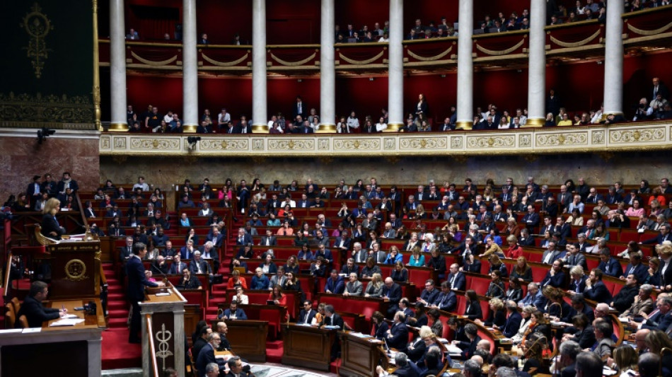 Ing&eacute;rences &eacute;trang&egrave;res&nbsp;: l'Assembl&eacute;e lance des d&eacute;bats tendus, en pleine campagne europ&eacute;enne
