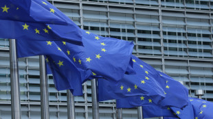 Via libera della Commissione alla nona rata del Pnrr per l'Italia