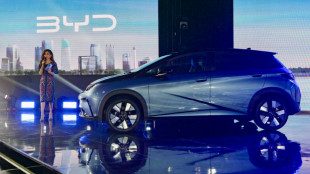 Droits de douane et taxe carbone, des barri&egrave;res aux n&eacute;gociations de la COP30