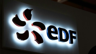 Renationalisation : le titre du groupe EDF suspendu &agrave; la Bourse de Paris &agrave; sa demande