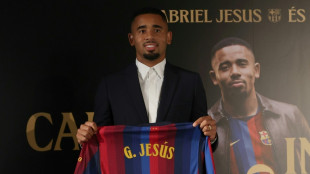 'N&atilde;o me incomoda', diz Gabriel Jesus sobre ser 'plano B' de Juli&aacute;n &Aacute;lvarez