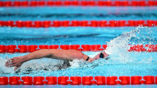 Natation: des Mondiaux en petit bassin sans Léon Marchand mais pas sans enjeux
