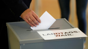 S&auml;chsische Linke w&auml;hlt Landeschefs Schaper und Hartmann zu Spitzenkandidaten