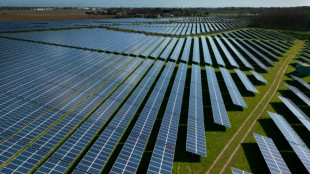 Gro&szlig;es Interesse an Ausschreibung f&uuml;r Solaranlagen - Habeck: Stromkosten sinken