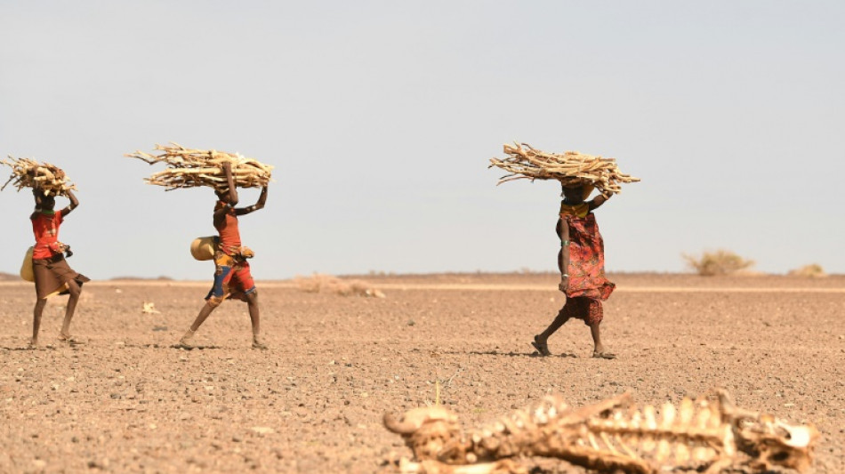 Kenia se prepara para votar mientras ignora la sequ&iacute;a que tiene a millones con hambre