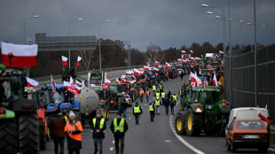 Polen will Grenz&uuml;berg&auml;nge zur Ukraine nach Blockaden als "kritische Infrastruktur" einstufen