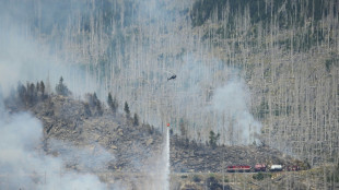 M&uuml;nchner Experten warnen vor drastischem Anstieg von Waldsch&auml;den durch Klimawandel