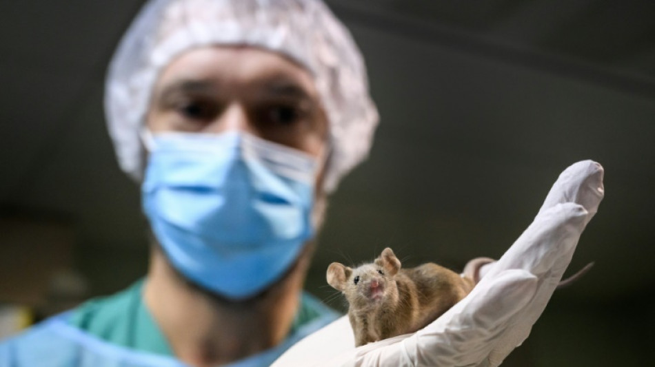 Pas d'exp&eacute;rimentation animale ou humaine: la Suisse se prononce dimanche