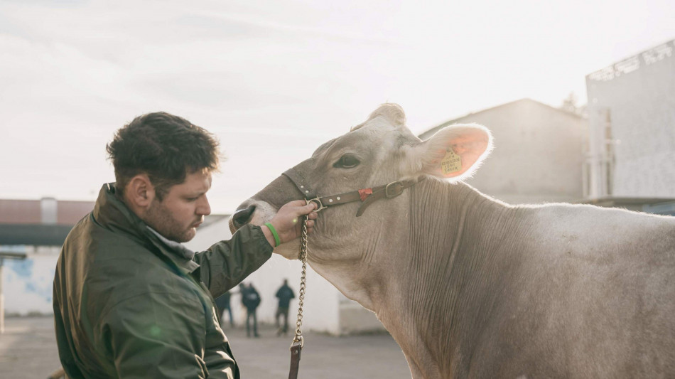 Fieragricola 2026 punta sull'innovazione e sul ritorno dei top brand