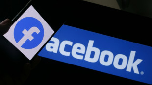 Le r&eacute;gulateur russe ordonne le blocage de Facebook dans le pays