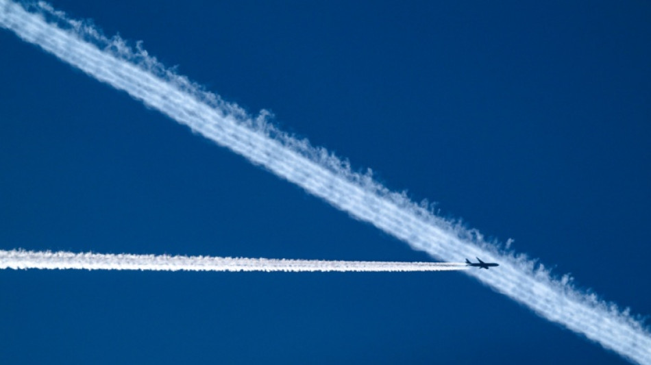 Airlines erwarten im kommenden Jahr Rekordzahl an Fluggästen