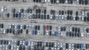 Il mercato italiano dell'auto cresce del 6,18% a gennaio, Stellantis dell'11,8%