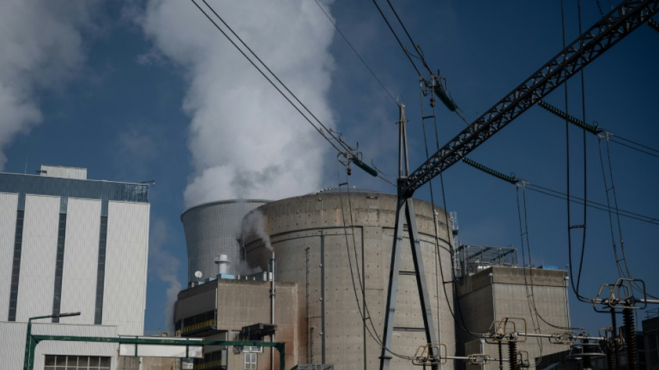La corrosion des r&eacute;acteurs nucl&eacute;aires plombe encore plus les perspectives d'EDF