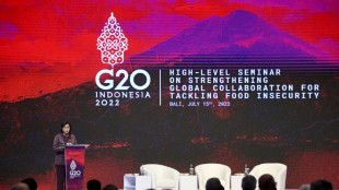 Pa&iacute;ses occidentales denuncian en el G20 el impacto de la guerra rusa en la econom&iacute;a mundial