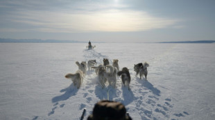 Dogsled diplomacy in Greenland proves elusive for US