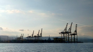 Consalvo, Porto Trieste ha pescaggio e logistica per hub terre rare