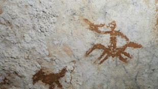 World's oldest cave art discovered in Indonesia