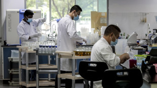 Vescicole 'mimetiche' aprono a nuove terapie per le allergie