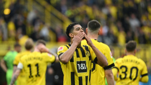 Allemagne: Dortmund ne c&egrave;de rien au Bayern et maintient le suspense pour le titre