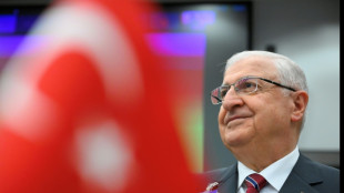 Turkey troops to stay in Syria, Iraq 'until border security ensured', defence minister tells AFP