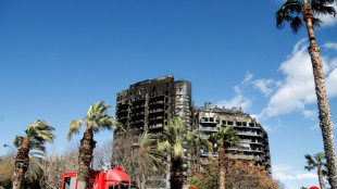 Espagne: l'incendie de Valence dû à un appareil électroménager