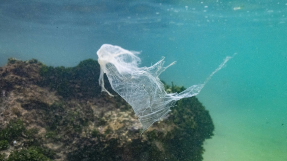UN-Plastikabkommen: 184 Staaten treffen sich in Genf f&uuml;r letzten Verhandlungstag