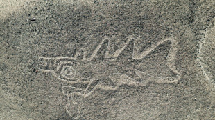 Le Pérou réduit la célèbre réserve de Nasca, inquiétude des archéologues