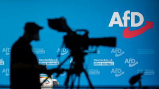 Hessen und Bayern wollen nach Hochstufung AfD-Mitglieder im Staatsdienst pr&uuml;fen