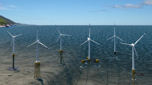 Aero, gi&agrave; approvati 4 progetti di eolico offshore per 2,2 Gw