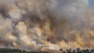 Pays-Bas: Un incendie ravage un terrain d'entra&icirc;nement militaire