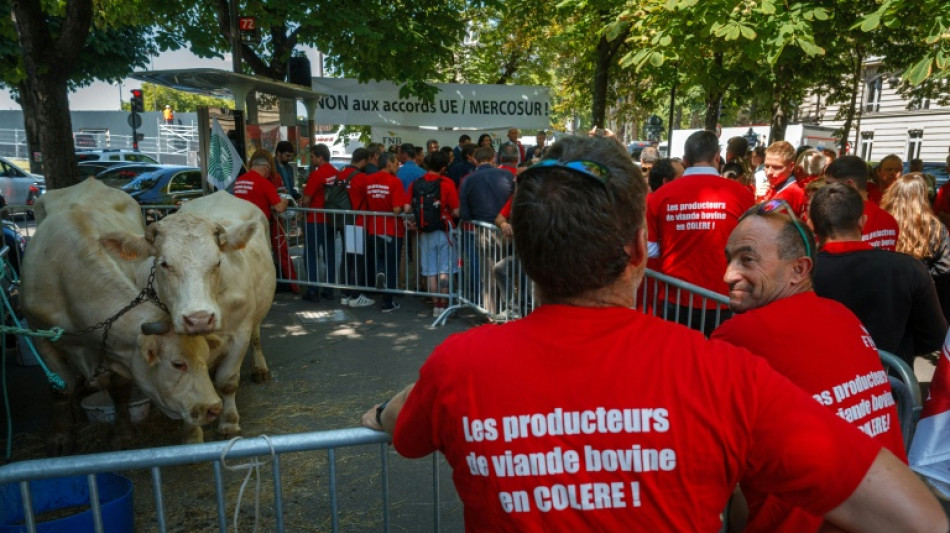 Agricultores convocan protestas en París contra el acuerdo UE-Mercosur