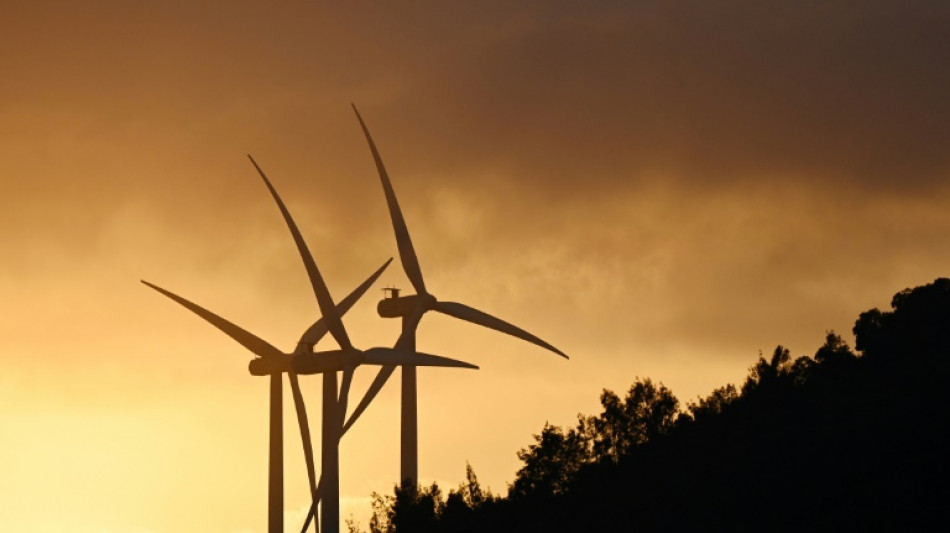Studie: Erneuerbare Energien waren 2023 wichtigster Wachstumsmotor f&uuml;r China