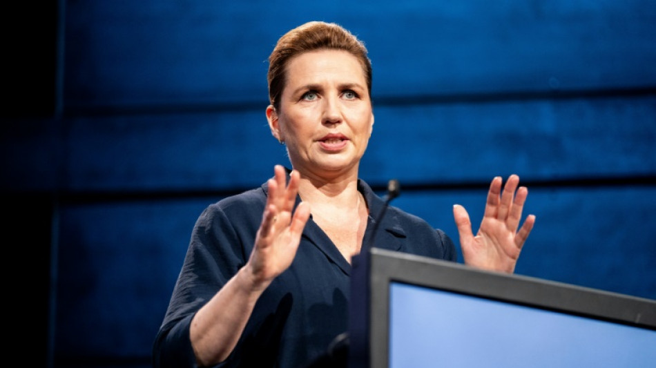 D&auml;nische Regierungschefin auf offener Stra&szlig;e angegriffen