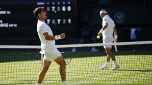 L'omaggio di Alcaraz a Fognini, perché il suo ultimo Wimbledon?