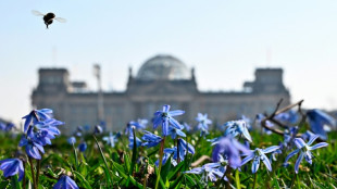 Bundestag beschlie&szlig;t erleichterte Anerkennung beruflicher Qualifikationen