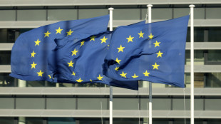 Ue, Reich? Anche parole folli sono libertà espressione