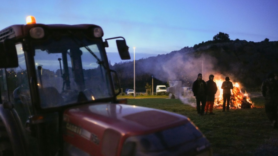 Mobilisation agricole: un site de Danone bloqu&eacute; dans le Gers